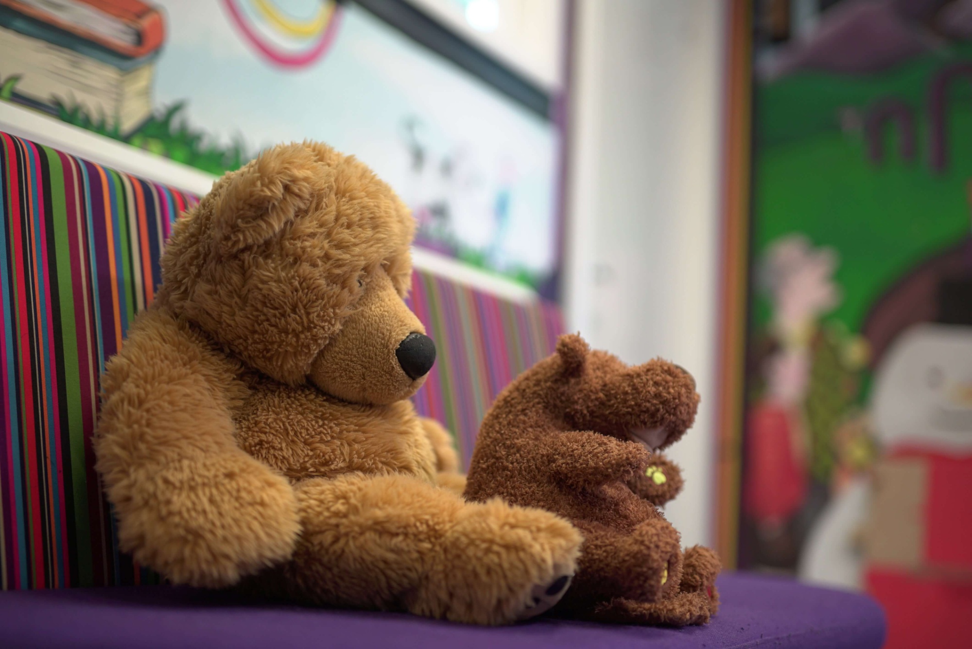 welcome slideshow alt text